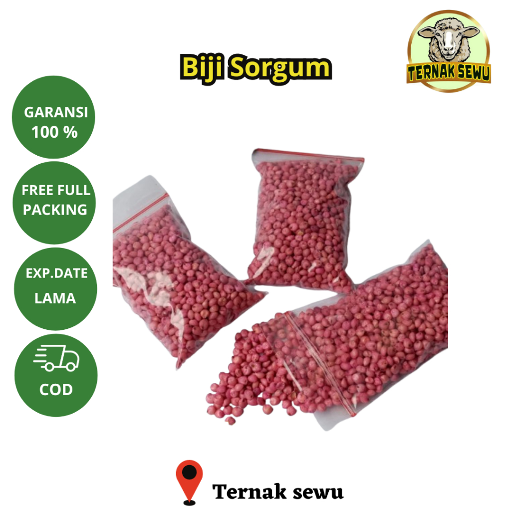 Bibit Sorgum I Benih Sorgum Bioguma | Varian (50GR) Sorghum Cantel hijauan pakan ternak