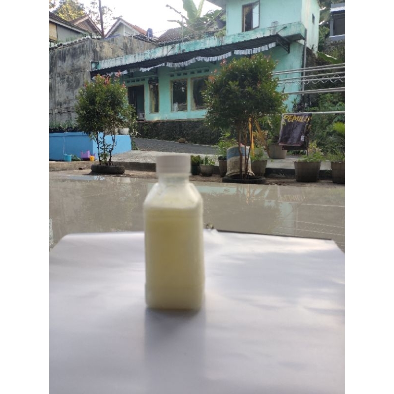 

Susu Kambing Sapera