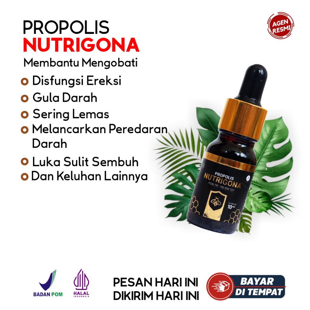 PROPOLIS NUTRIGONA Bantu Atasi Masalah Diabetes, Disfungsi Ereksi, Menurunkan Gula Darah, dll