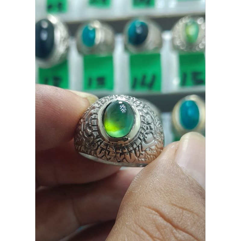 bacan Doko coklat giwang