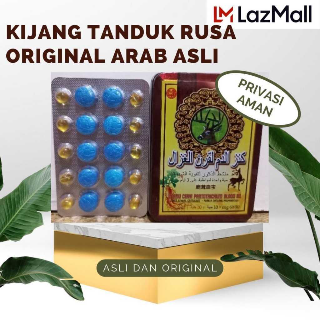 Kijang Tanduk Rusa Original Arab Asli