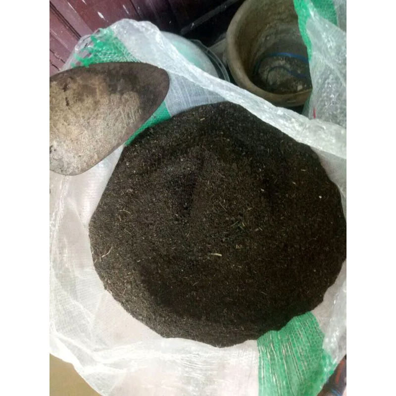 fermentasi kohe kambing halus