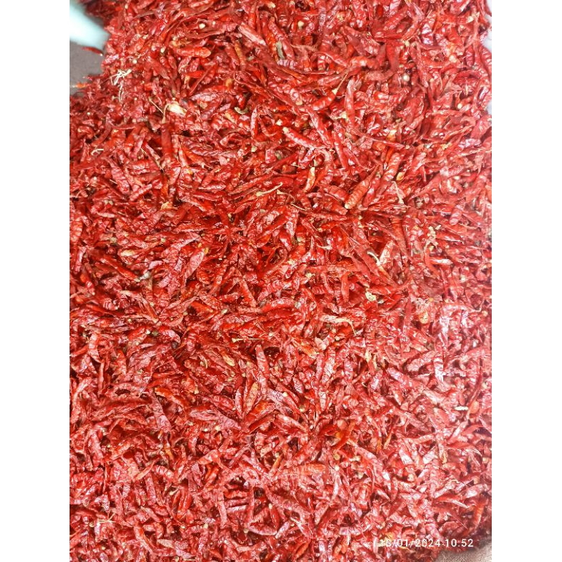 

10 KG CABE TEJA CAPLAK CABE RAWIT SUPER PEDAS KWALITAS SUPER