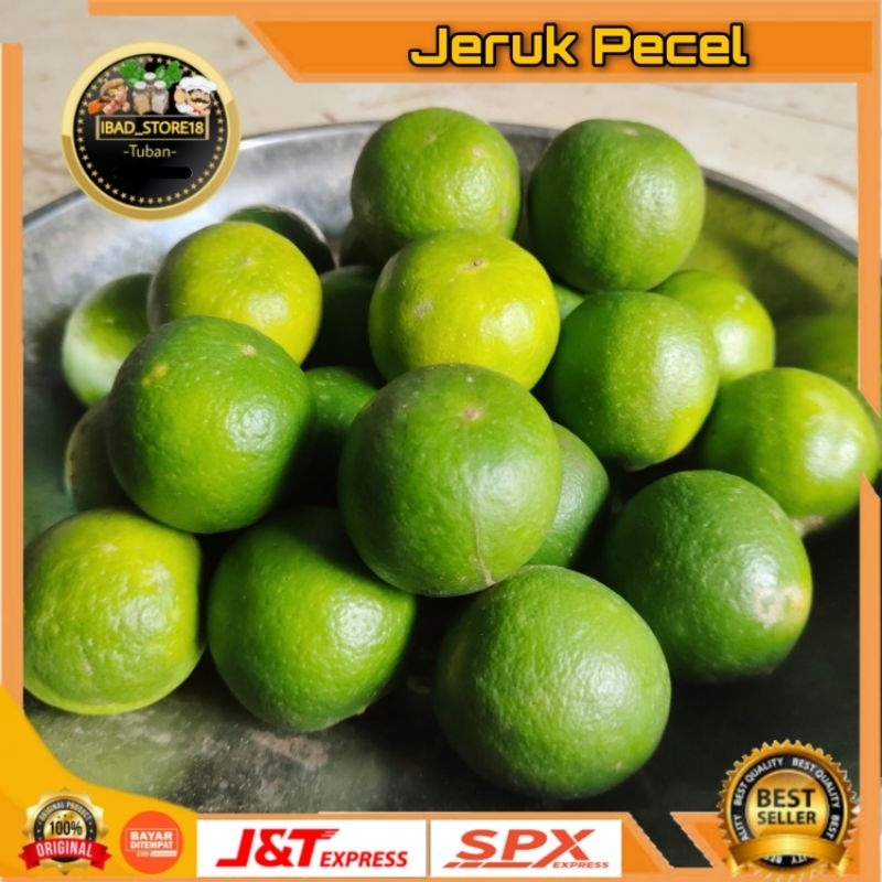 

Jeruk Nipis Murah 1 Biji [Grosir]