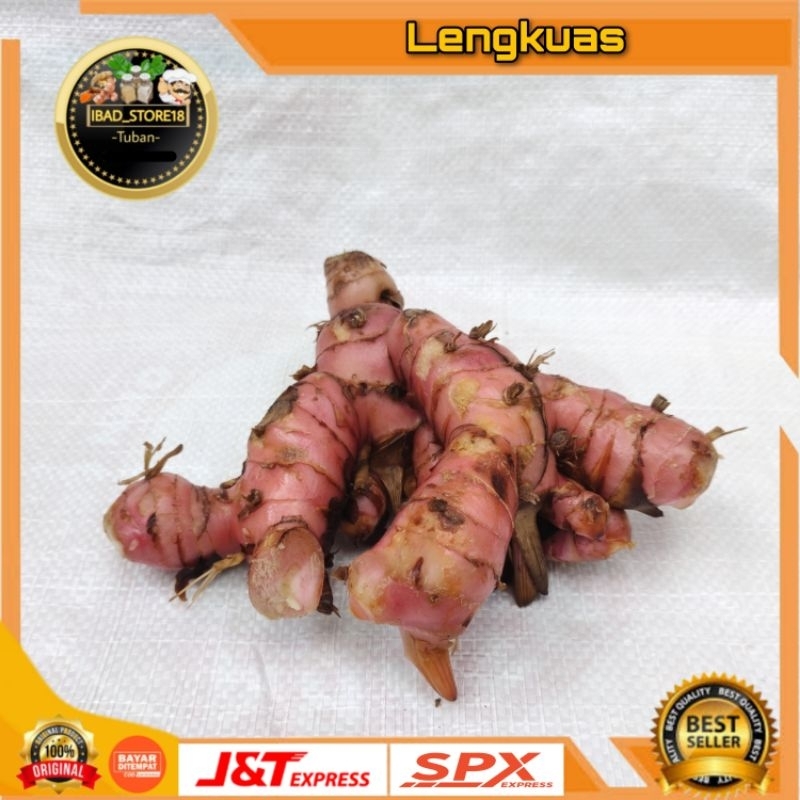 

Lengkuas Bersih 250gr Laos Segar
