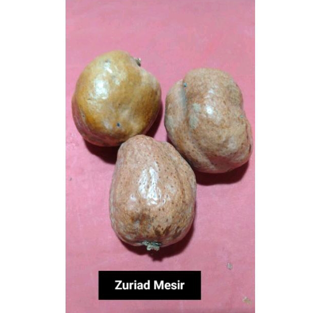 

Buah zuriat mesir asli 500gr