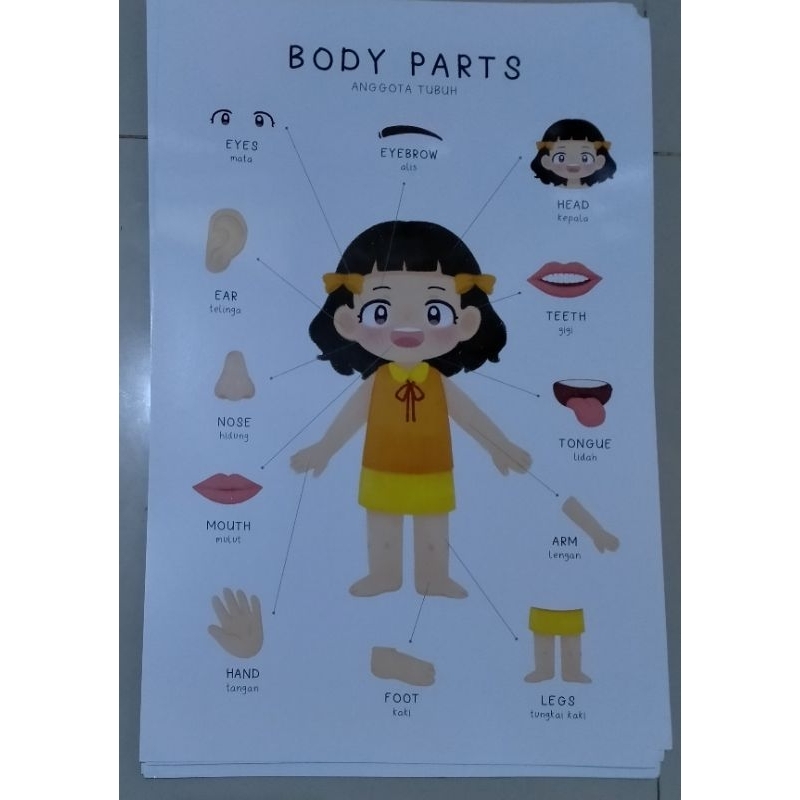 POSTER EDUKASI ANAK BODY PART/BAGIAN TUBUH ART PAPER LAMINATING DOFF TEBAL