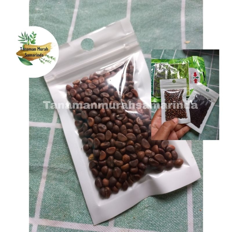 

Benih Kangkung cap panah merah