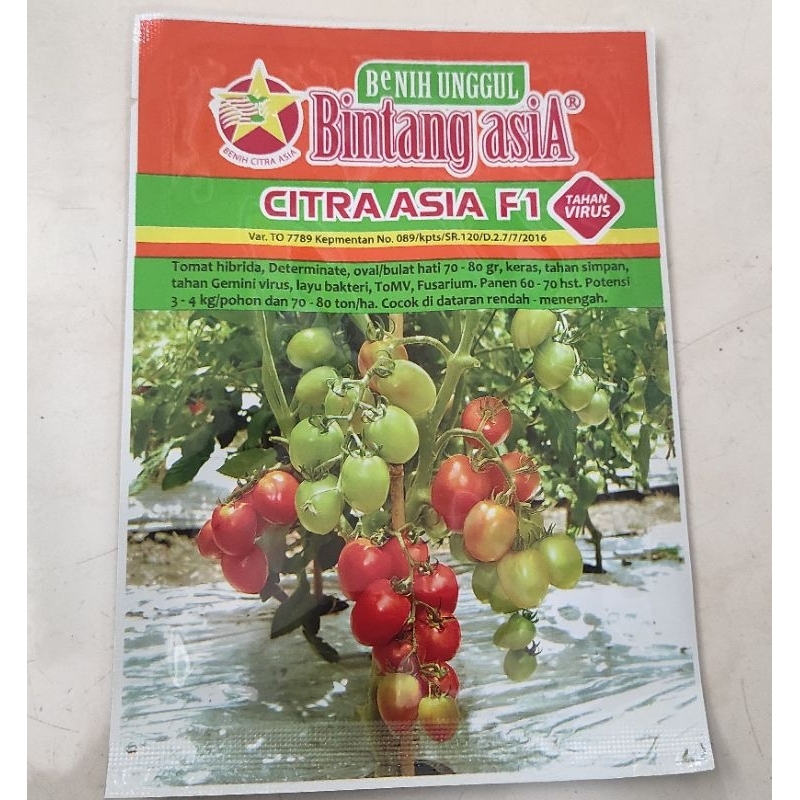 Benih Tomat CITRA ASIA F1 5 gram