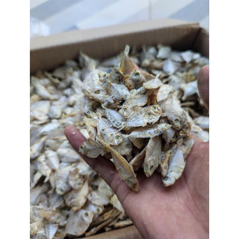 

IKAN ASIN DODOK PIRIK PETEK KECIL / HALUS KERING 500GR