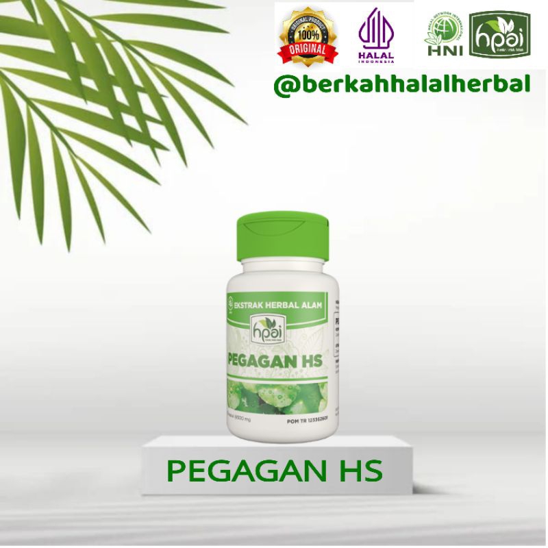 Pegagan Hs HNI HPAI