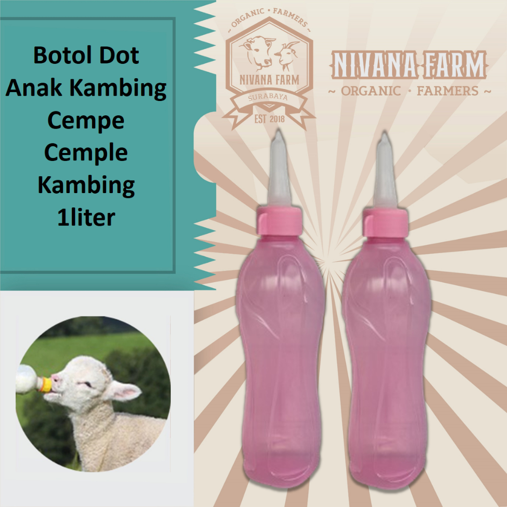 Botol Dot Anak Kambing Cempe Cemple Kambing 1liter