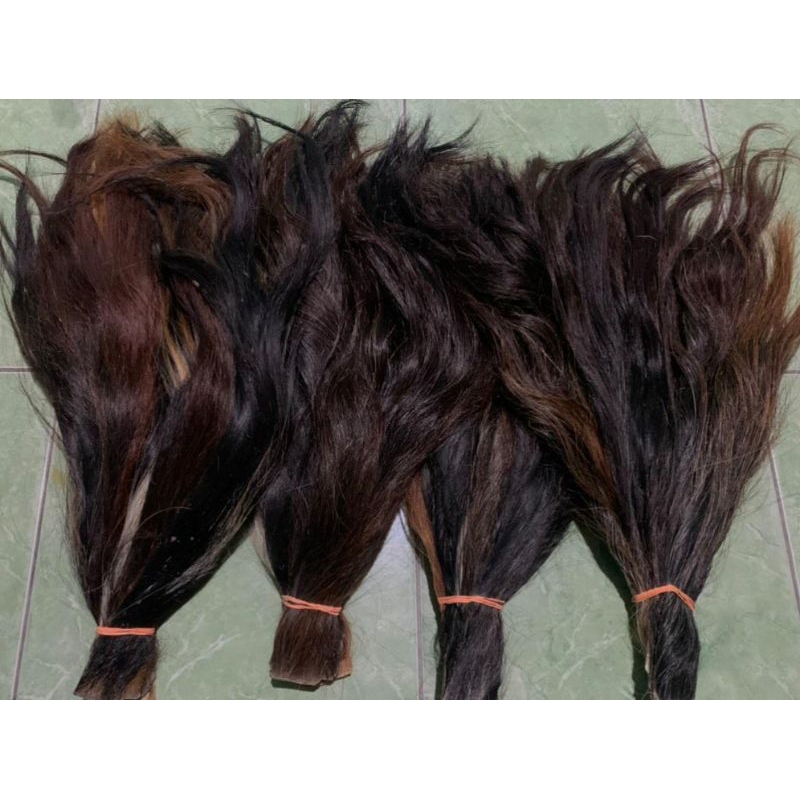 RAMBUT_BARONG_ekor_sapi_BORONGAN