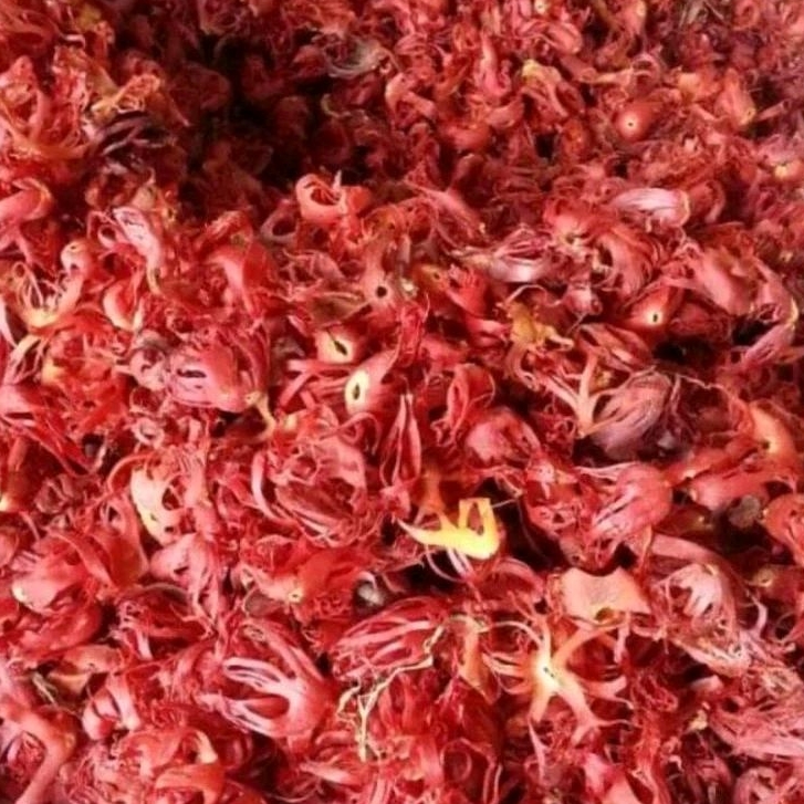 

sempra/fulli/bunga pala