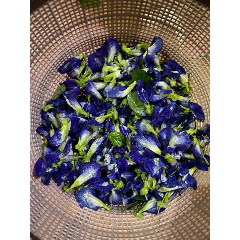 

Bunga talang kering selalu panen baru