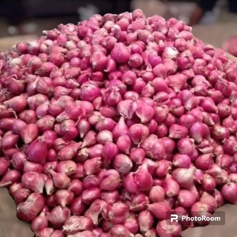 

bawang merah super