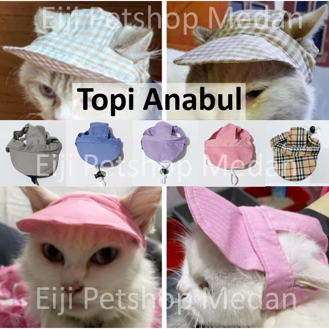 Topi Kucing Topi Hewan Topi Lucu Untuk Hewan Aksesoris Hewan Topi Anjing Kecil