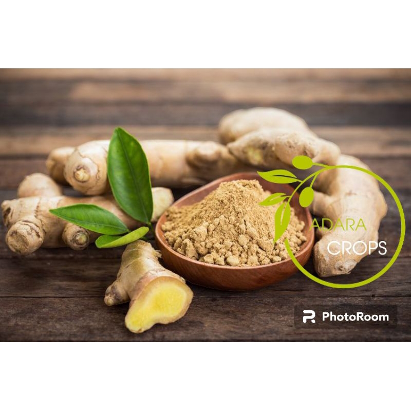 

Jahe Gajah Asli Segar Fresh 1Kg Kualitas Di Jamin Super
