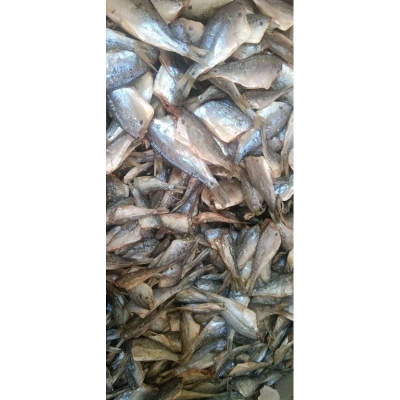 

ikan asin bauk potong