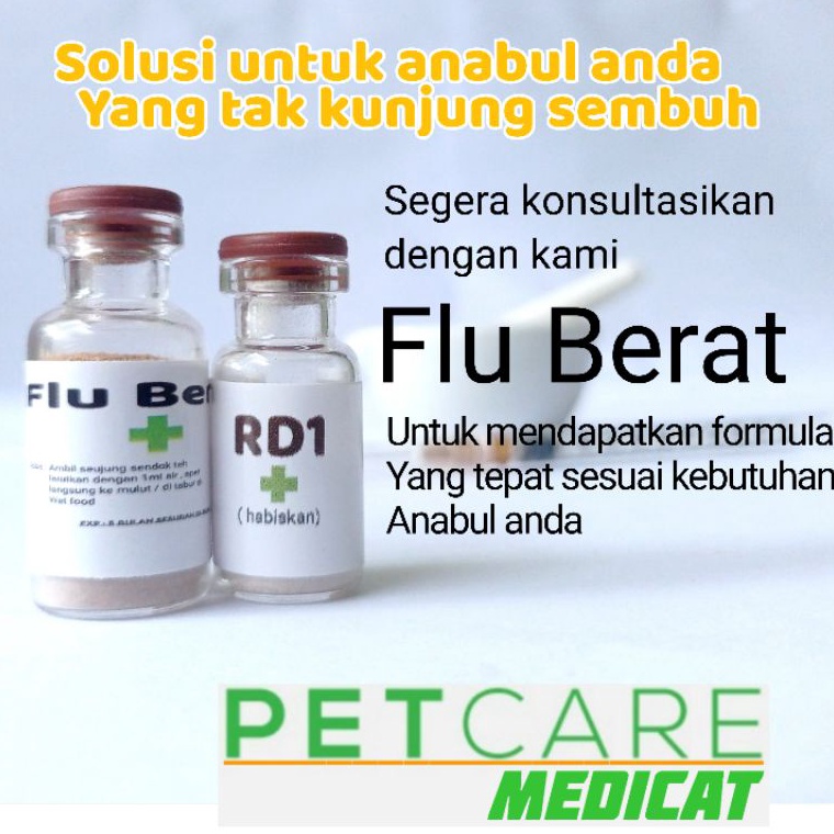 Obat kucing Flu berat Ampuh obat Flu berat kucing ampuh flucat ampuh Obat batuk kucing ampuh Obat fl