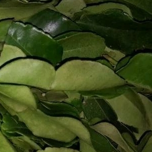 

Daun jeruk hijau super segar 250 gr