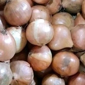 

Bawang bombay besar super segar 500gr