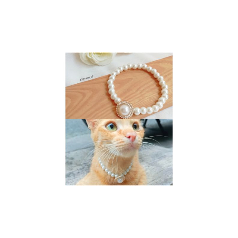 Kalung kucing/ kalung manik untuk kucing/ kalung kucing mutiara