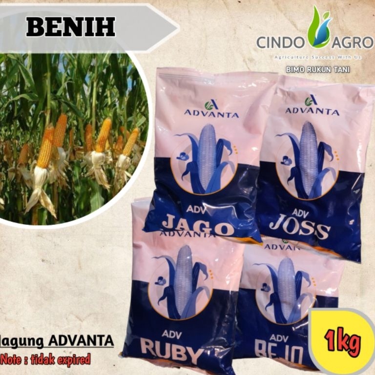 ART I63J Jagung ADV JagoRubyJossBejo  1kg