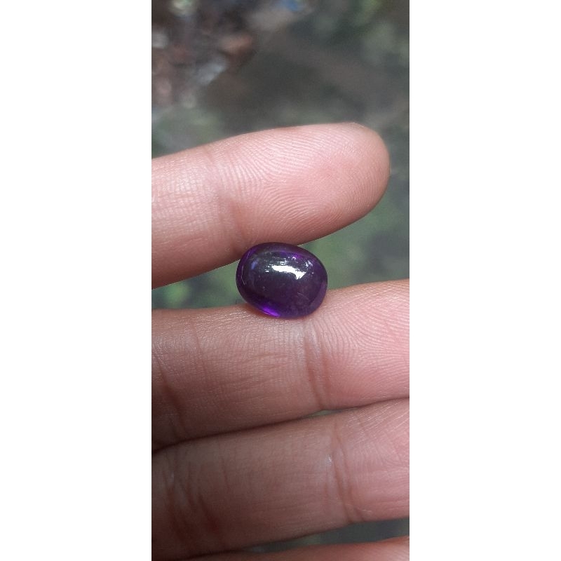 kecubung ungu asli kalimantan