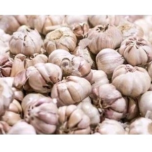 

bawang putih super