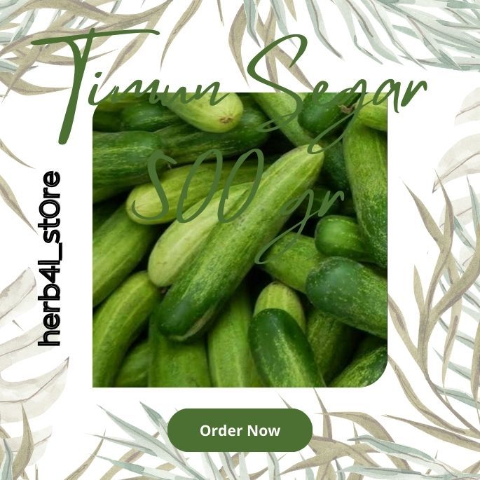 

Timun Segar 500 gr herba4l_st0re Termurah
