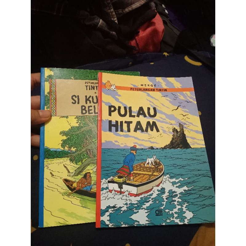 Petualangan TINTIN