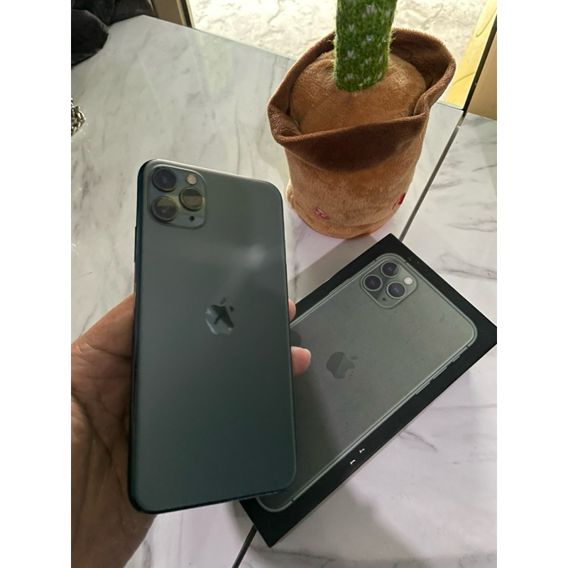 ip 11 promax 256gb