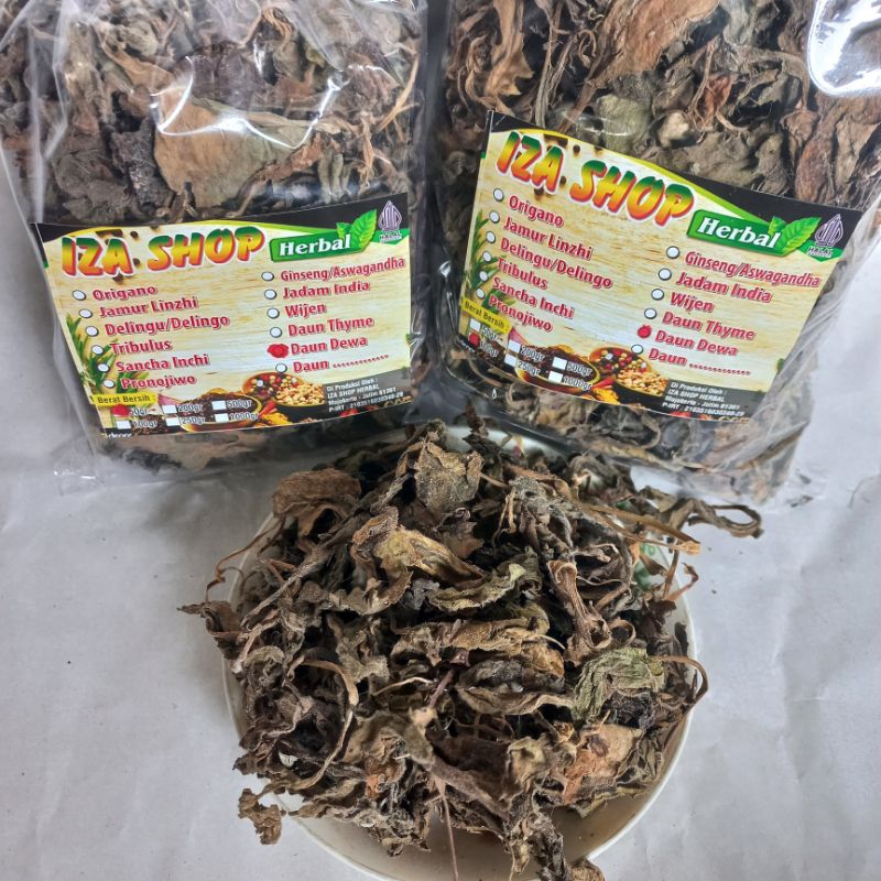 

Daun Dewa Kering 100gr