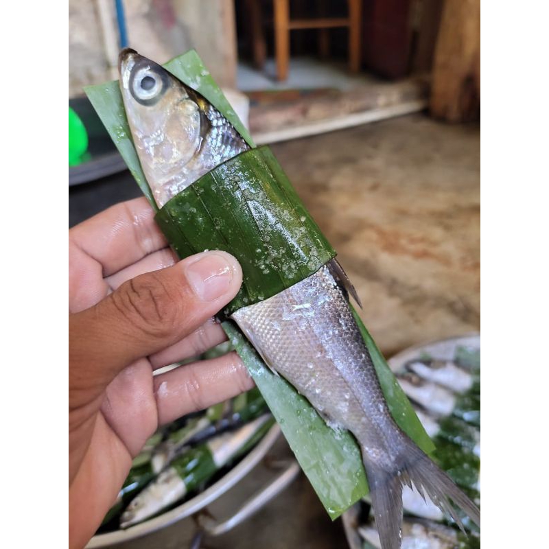 

ikan Bandeng Presto Fress