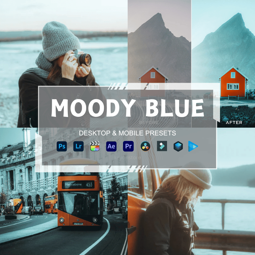 Preset Lightroom Premium - 10 Moody Blue + LUTs
