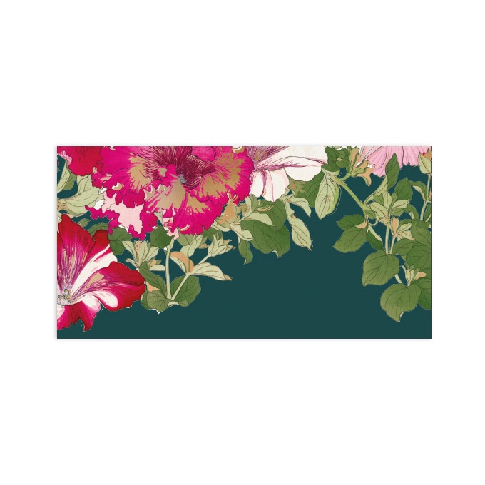 Papermark Money Envelope Verda set of 12