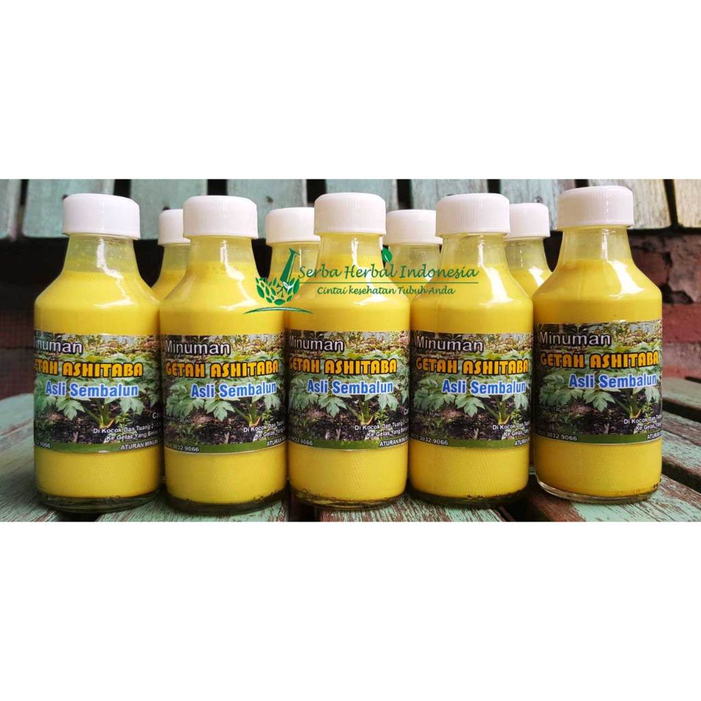 

Obat Diabetes Herbal Getah Ashitaba Paling Ampuh