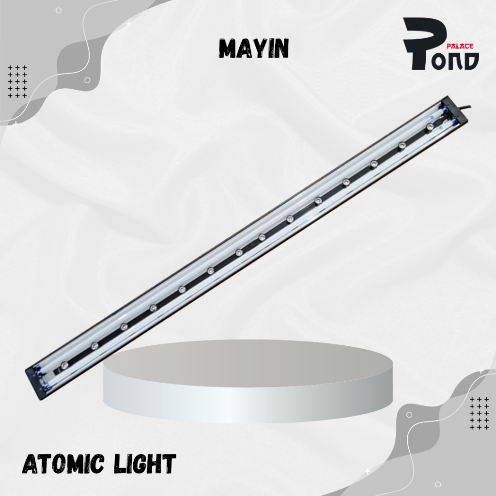 Lampu Arowana Tanning Arwana Lampu View Akuarium Taning Ikan