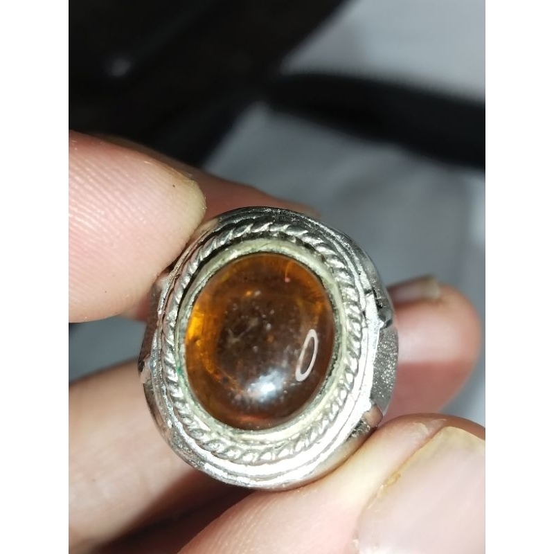 Kecubung teh kalimantan