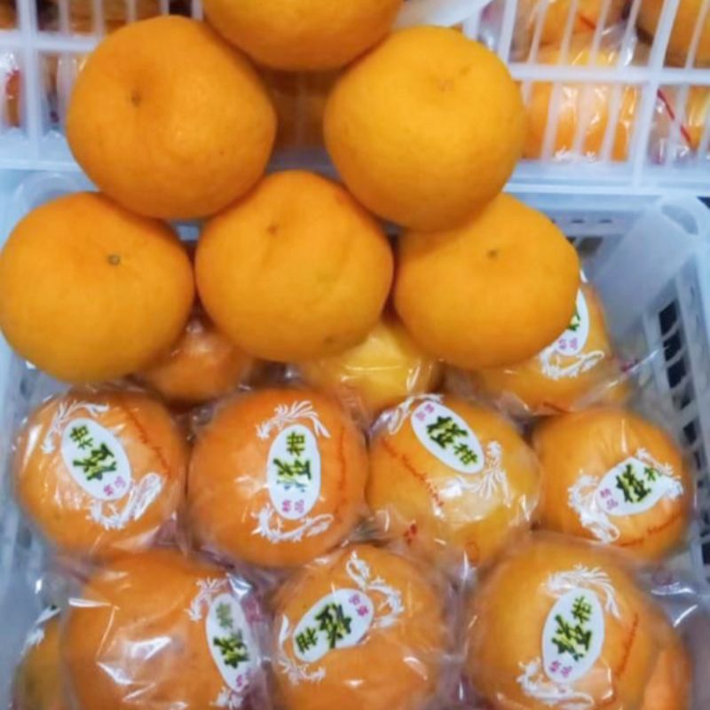 

Jeruk Ponkam W Berat/Kg