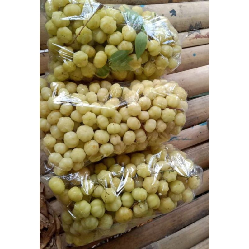 

Cermai petik dadakan 1 kg