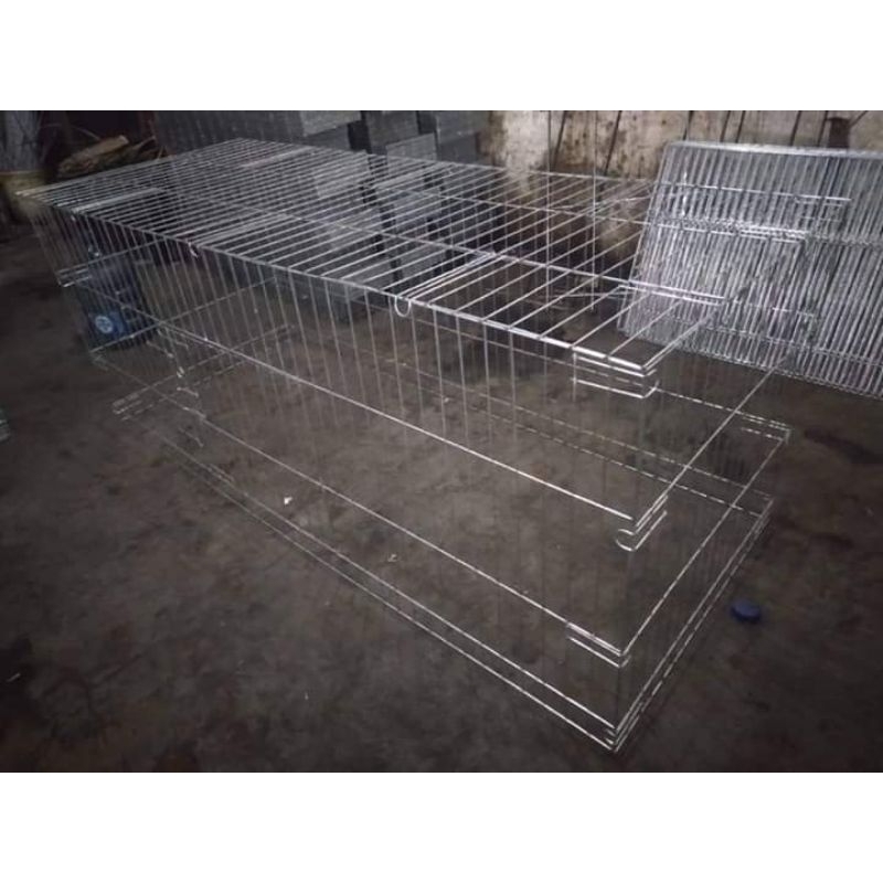umbaran ayam