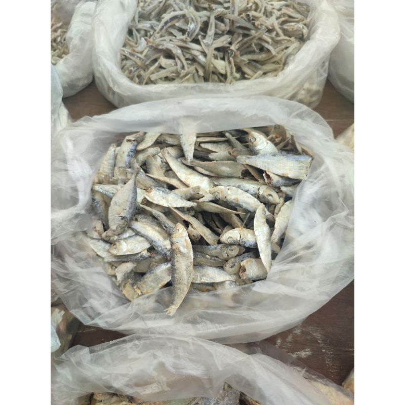 

Ikan Tembang Tawar Segar