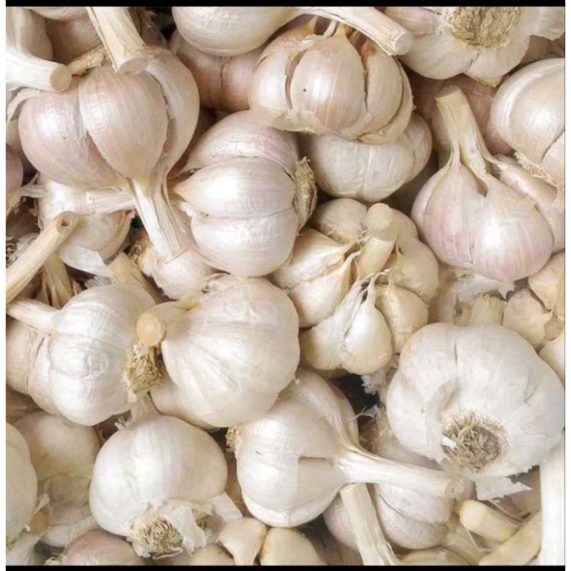 

bawang putih fresh siap kirim 500 gram
