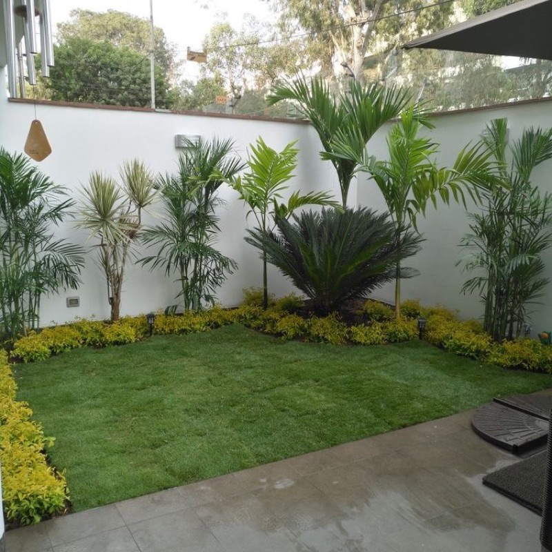 Taman hias/renovasi taman