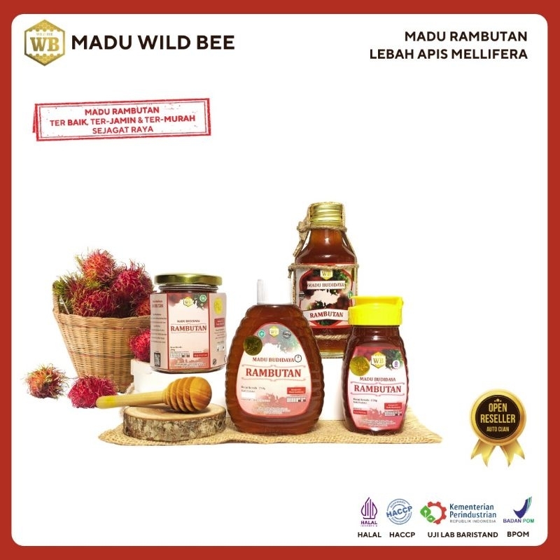 

Madu Rambutan/ Lebah Apis Melifera