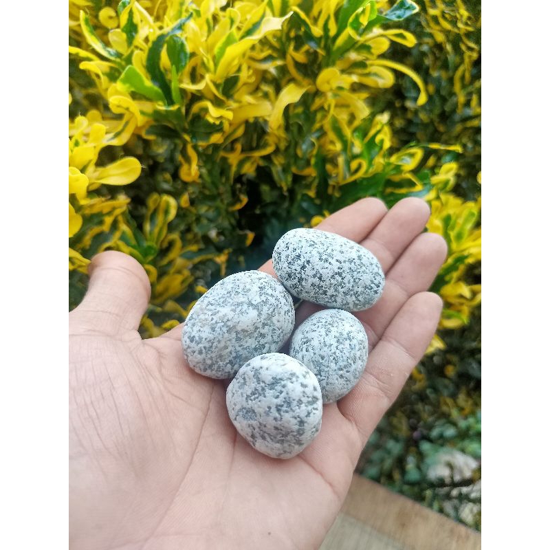 BATU TELOR PUYUH 1KG