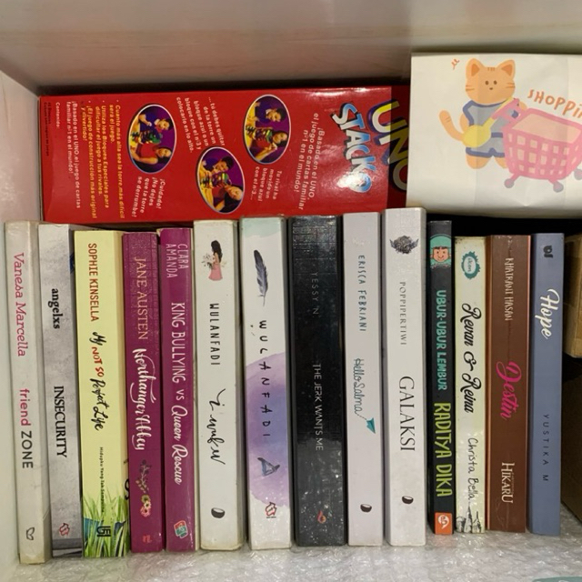 PRELOVED NOVEL murah friendzone insecurity my not so perfect life northanger abbey king bullying vs 