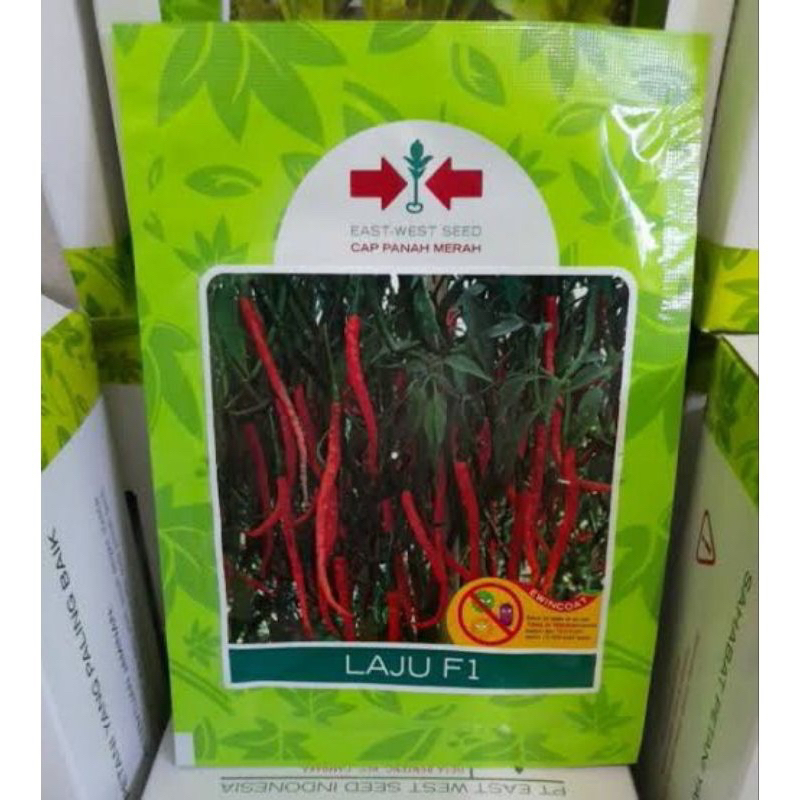 Benih bibit Cabe keriting LAJU F1 1750 butir